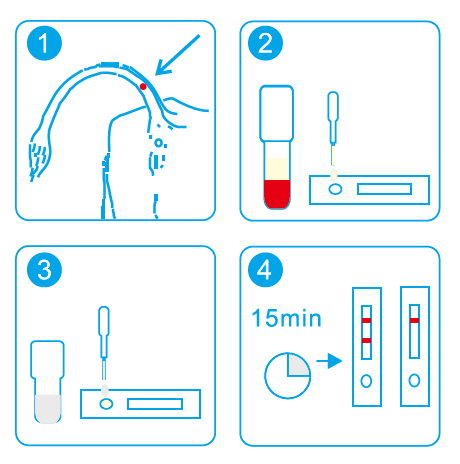 Ringbio 牛妊娠迅速検査キットの実行方法