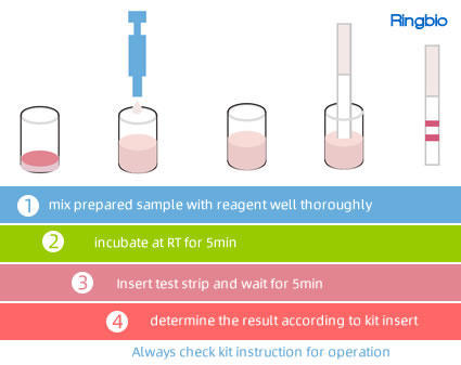 Nitrofurans Metabolite rapid test kit Nitrofuran 4-in-1 AOZ/AMOZ/AHD/SEM QuaTest