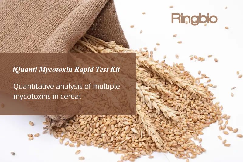 Ringbio releases iQuanti mycotoxins quantitative rapid test kit