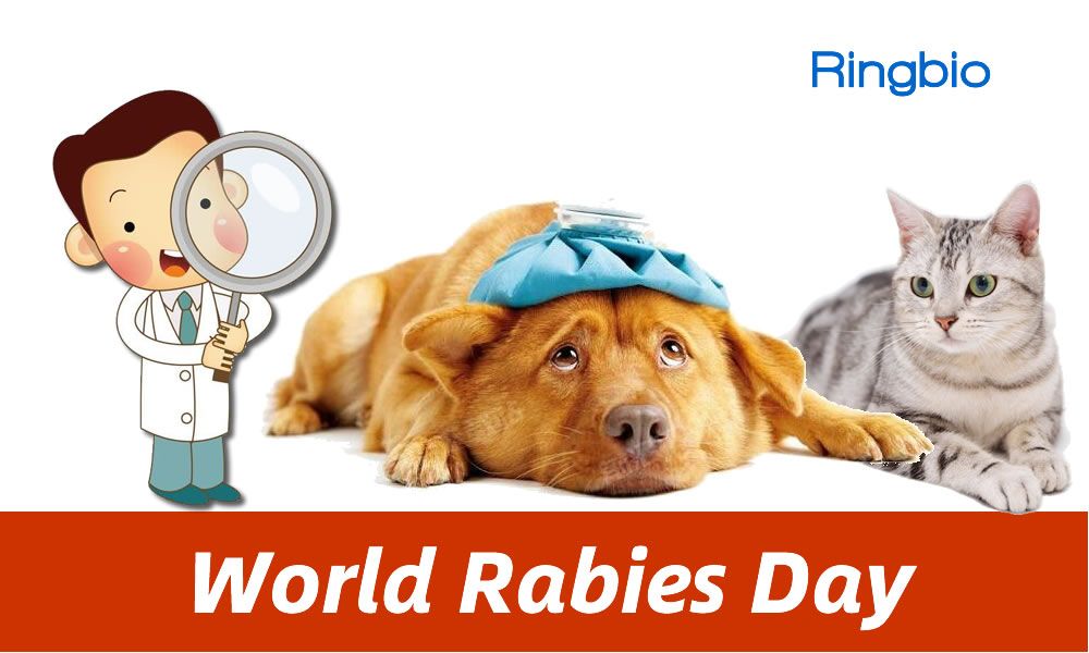 World rabies day, september 28 of each year