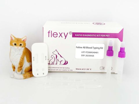 Feline AB Blood Typing Kit